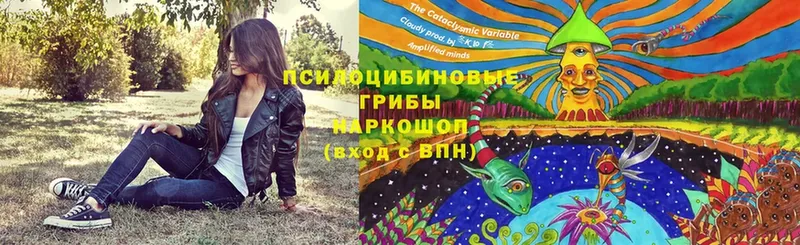 Псилоцибиновые грибы Magic Shrooms  где купить наркоту  Ликино-Дулёво 